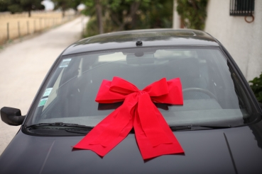Rosette car bow Riesen Autoschleife Megaschleife große rote Geschenkschleife 