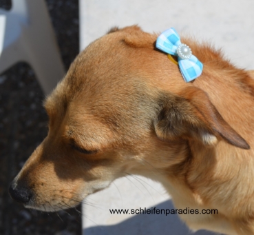 2 x Süsse Hundeschleife mit Perle dekoriert