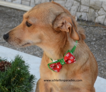 Weihnachtsschleife, Hundefliege, Halsband, 2 Weihnachtsmotive
