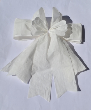 Klopapier schleife - trendig - Gag - Schleife aus Toilettenpapier