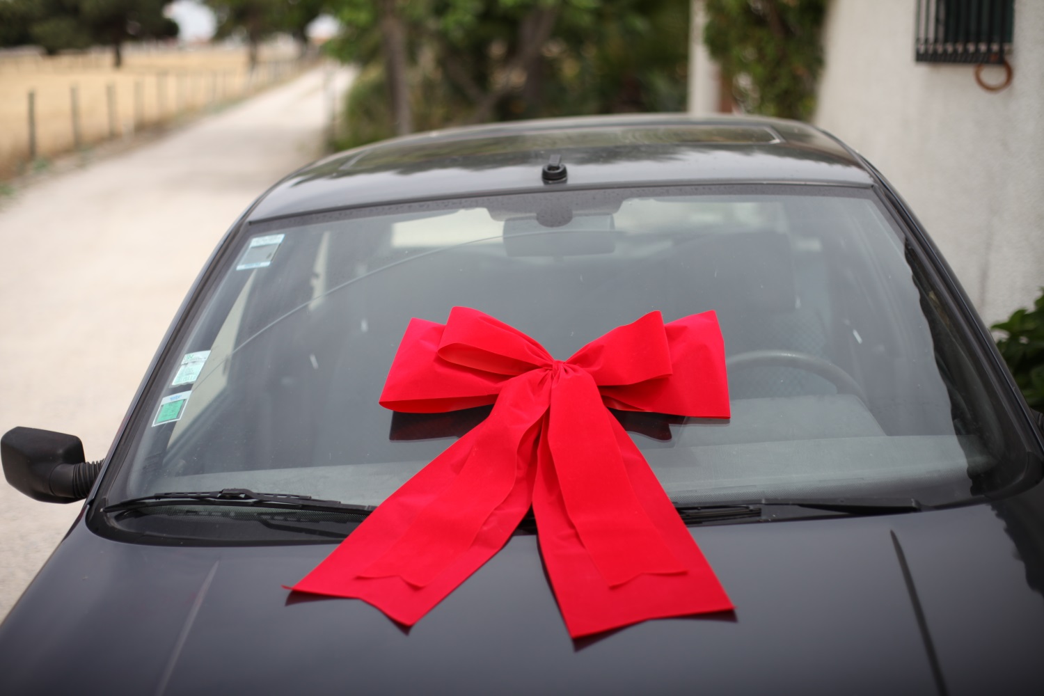 Schleifenparadies - Rote Autoschleife, Autogeschenk schleife,  Geschenkschleife für ein Auto, grosse Schleife für Autogeschenk,  Riesenschleife fürs Auto