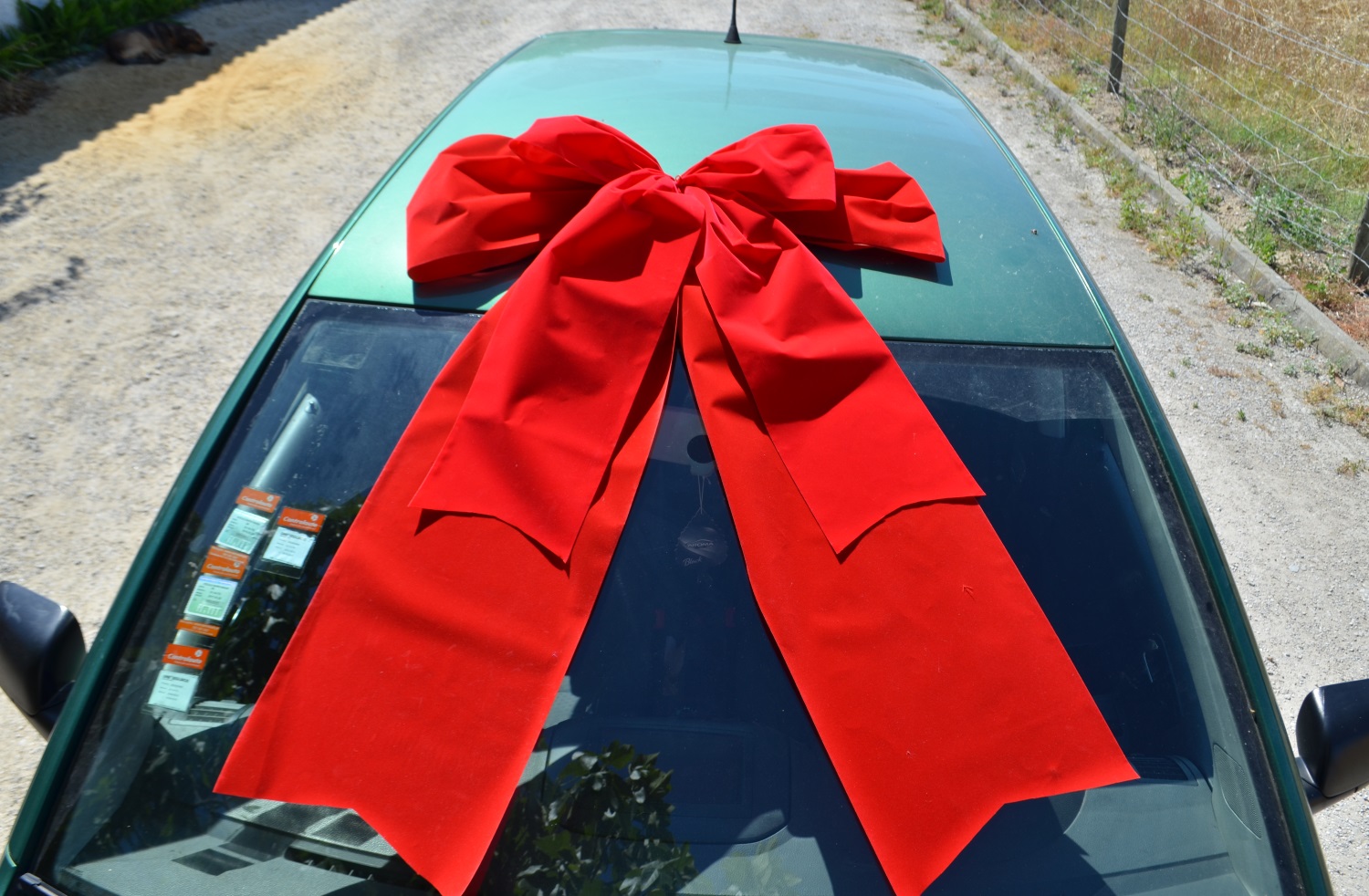 große rote Geschenkschleife Megaschleife Riesen Autoschleife car bow Rosette 