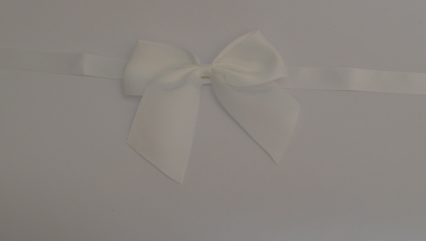 Klassische Satin Schleife in Weiss