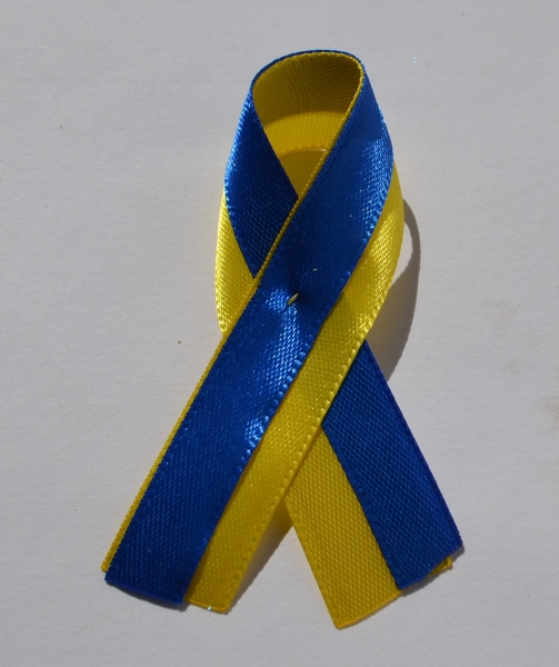 Solidaritätschleife Schweden / Ukraine,  Charity Anstecker blau gelb, Awareness Ribbons