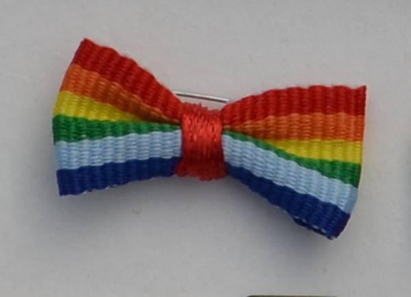 10x Regenbogen Hochzeit, Events, Anstecker, Schleife, pride, LGBT