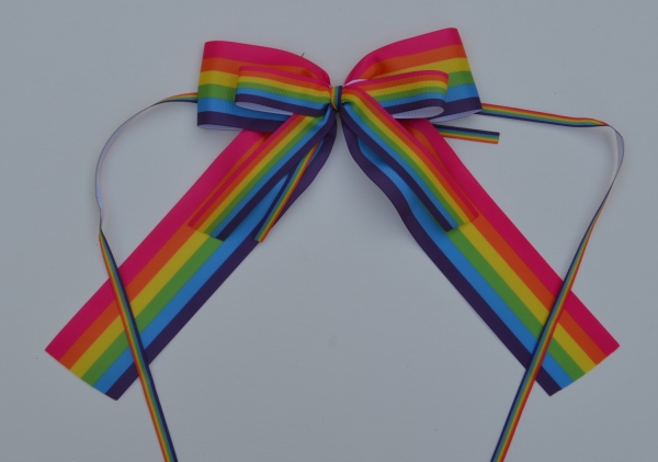 4 x Fertigschleife, Hochzeit pride, LGBT, Dekoschleife, Geschenkschleife, Regenbogen
