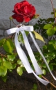 10 hochwertige Handgemachte Weisse / Ivory Antennenschleifen mit Perlen Herz, Auto Schleifen, Hochzeit Deko, Autoschmuck