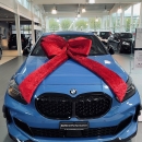 Riesen-Autoschleife 90 x150cm Pannesamt mit 4 Flügel