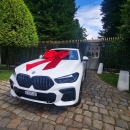 Riesen-Autoschleife 90 x150cm Pannesamt mit 4 Flügel